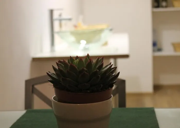 Bed & Breakfast My Center *