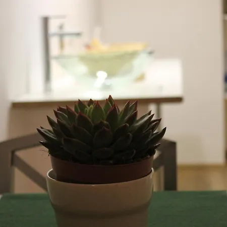 Frühstückspension My Center *